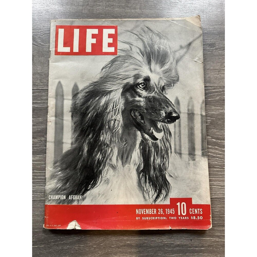 Life Magazine November 26 1945 Dogs Issue Softcover Illustrated B&W Cover US